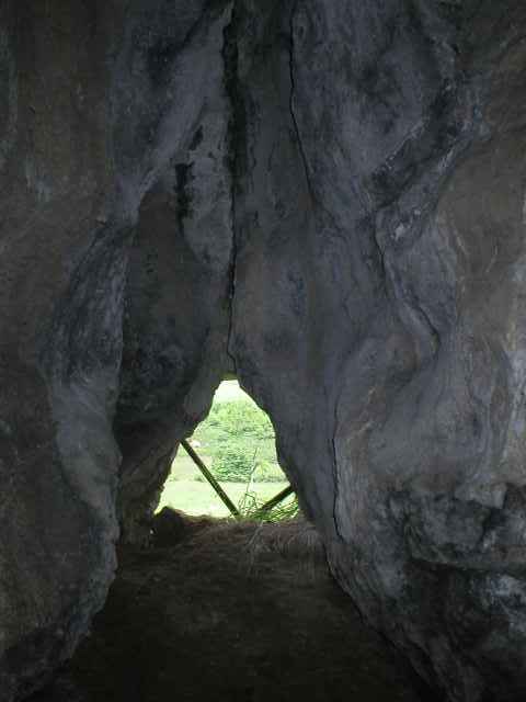 Tursk matale