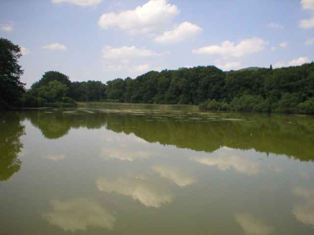 rybn�k Obora u Litn�