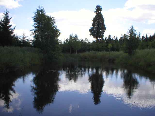 um�l� jez�rko na Brdech