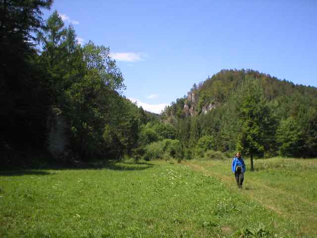 pohled zp�t do ka�onu