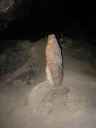 Zl diera, stalagmit Poustevnk