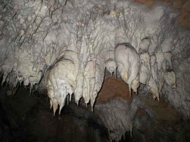 Ardovsk� jasky�a