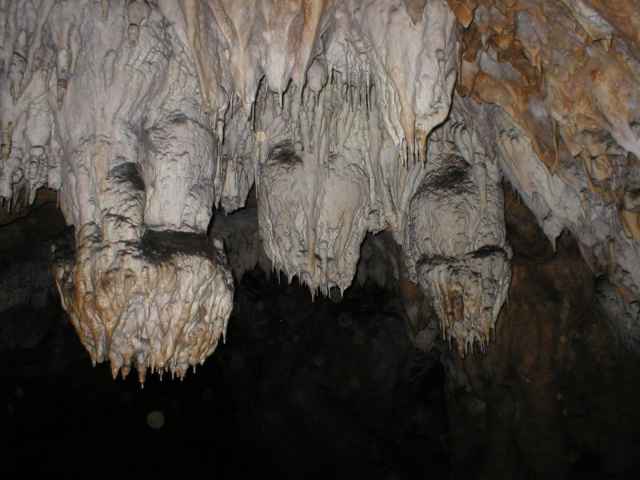 Ardovsk� jasky�a