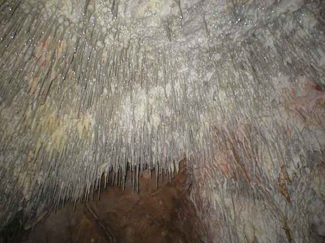 Ardovsk� jasky�a