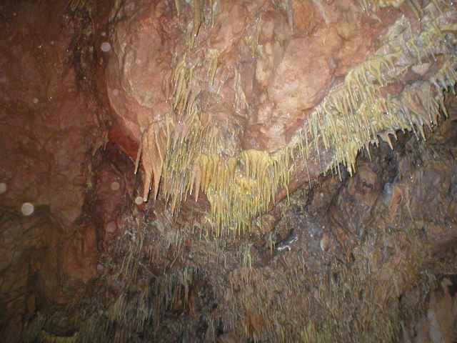 Ardovsk� jasky�a