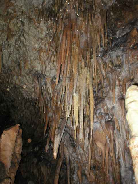 Ardovsk� jasky�a