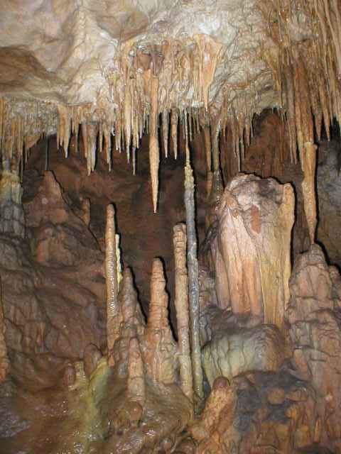 Ardovsk� jasky�a