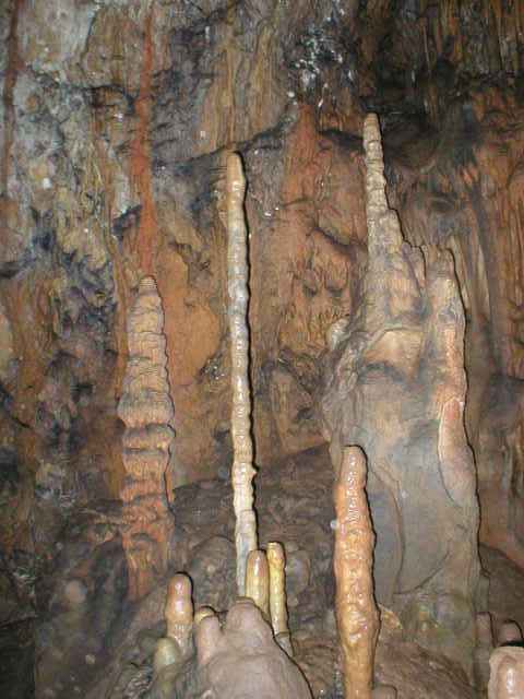 Ardovsk� jasky�a