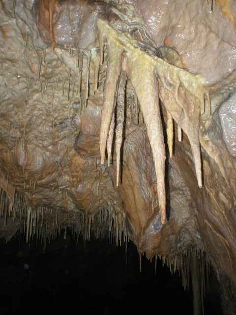 Ardovsk� jasky�a