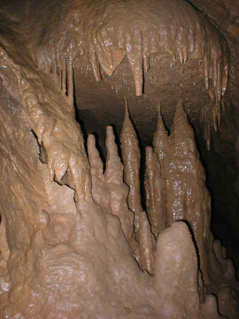 Ardovsk� jasky�a