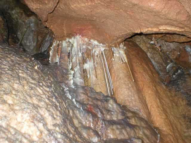 Ardovsk� jasky�a