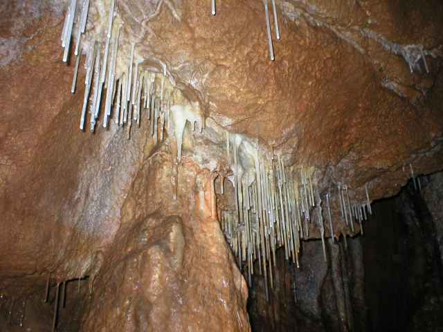 Ardovsk� jasky�a