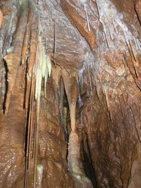 Ardovsk� jasky�a