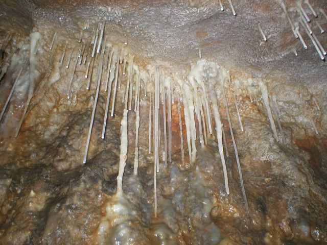 Ardovsk� jasky�a