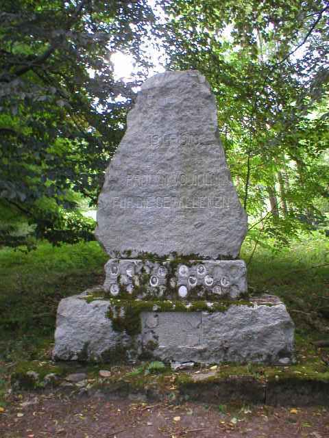 pomn�k padl�m v zanikl� vesnici