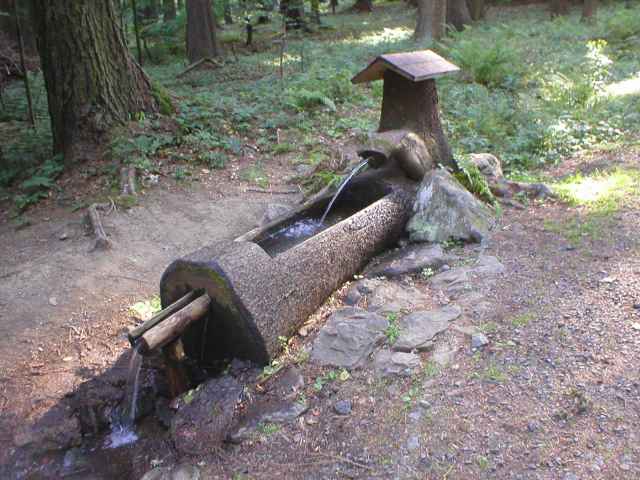 stud�nka u Zelen� ch��e