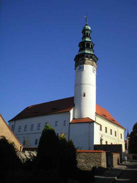 Doma�lick� z�mek