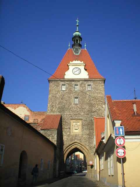 Doln� br�na v Doma�lic�ch