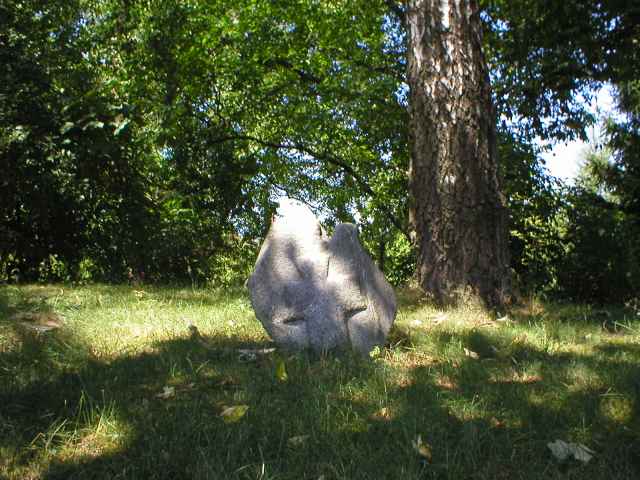 sm�r�� k�� v Chodov�