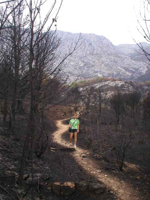 Zdena na cest� z�ernal�m sp�leni�t�m