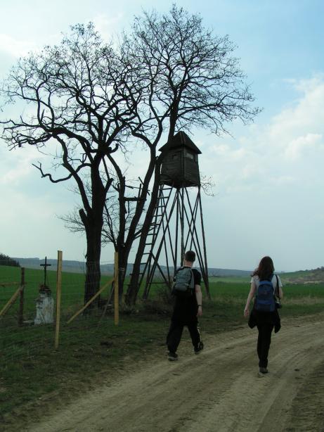 posed a k��, jako z jin�ho sv�ta