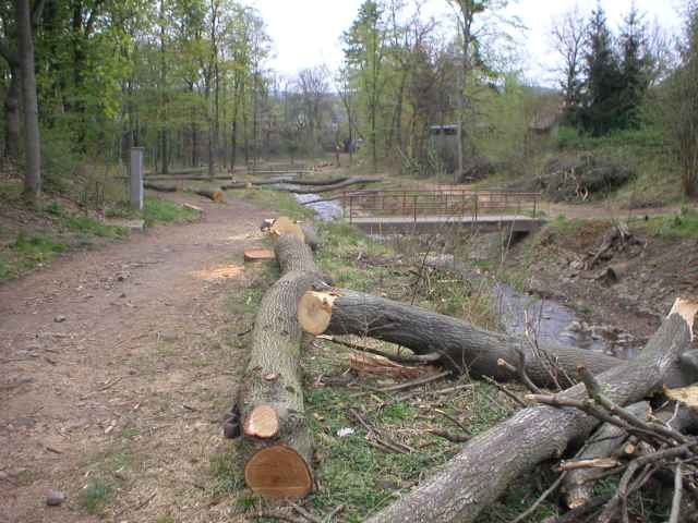 pohled d�l do zni�en�ho parku