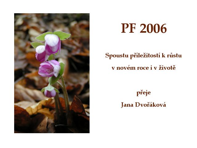 PF 2006