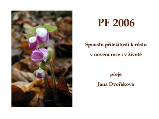 PF 2006