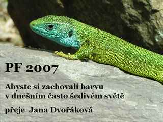 PF 2007