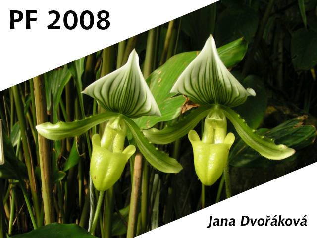 PF 2008